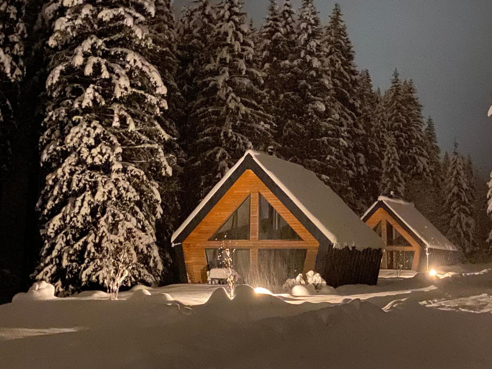 Chalet Belveder Horska Chata Železná Ruda Eksteriør bilde